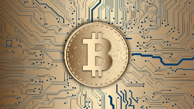 Knowing Bitcoin: Its History, Purposes, and Risks