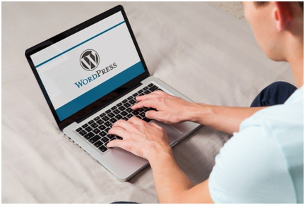 WordPress: What is it? – WordPress all types of information